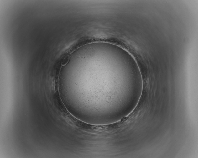 X0000112921205200908241219