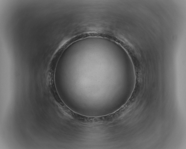 X0000112921208200908241219