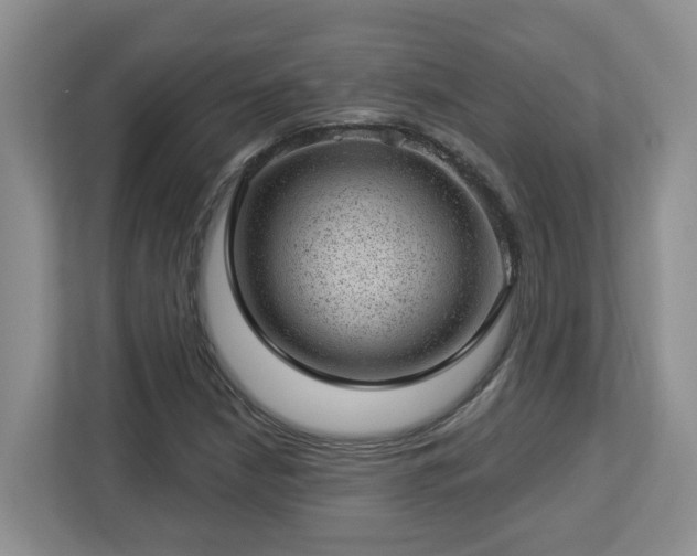 X0000112921210200908241219