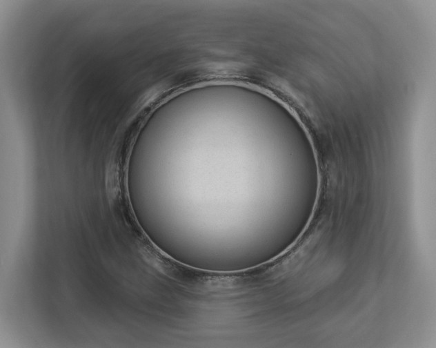 X0000112921211200908241219