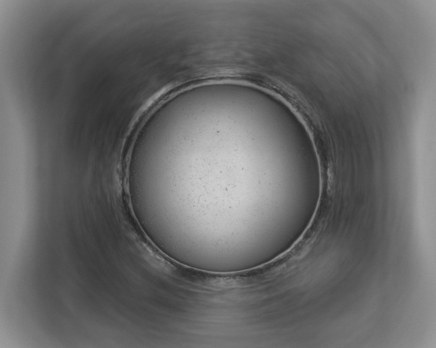 X0000112921212200908241219