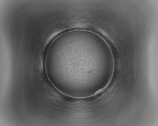 X0000112921214200908241219