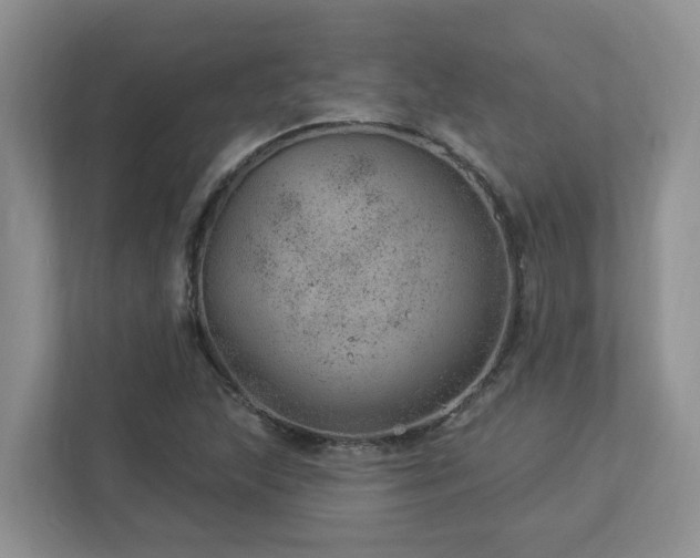 X0000112921215200908241219