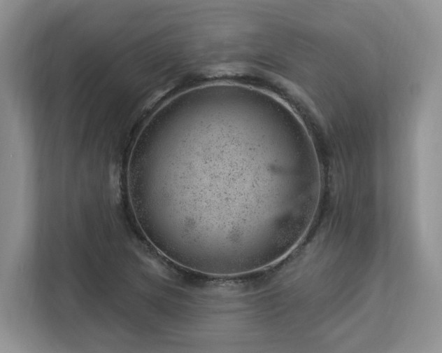 X0000112921217200908241219