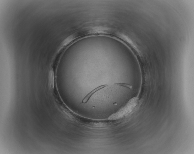 X0000112921219200908241219