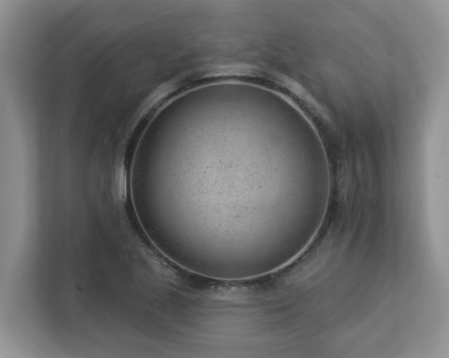 X0000112921221200908241219