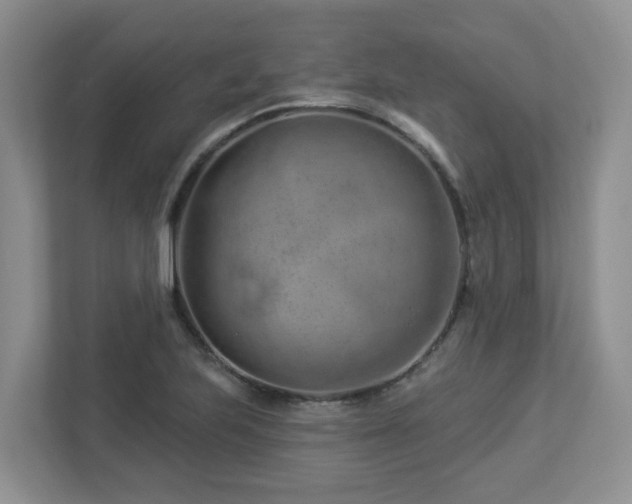 X0000112921223200908241219