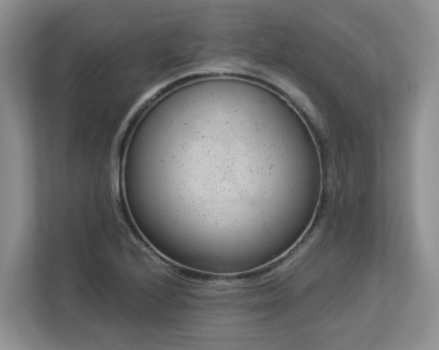 X0000112921224200908241219