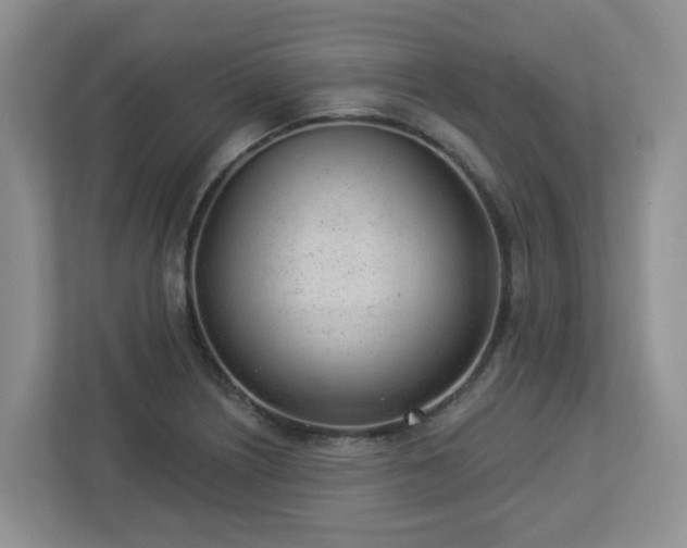 X0000112921226200908241219