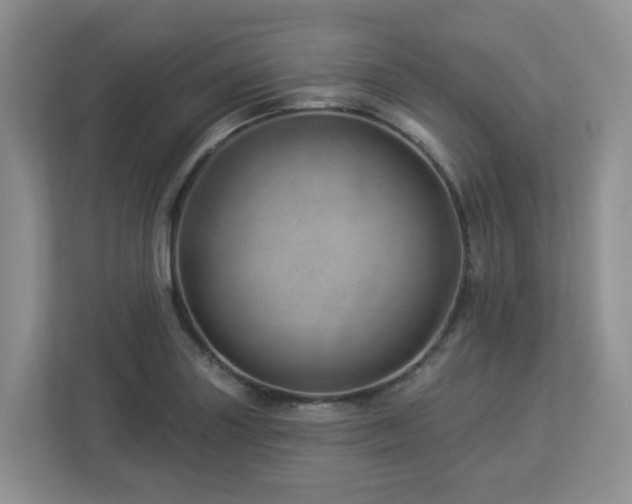 X0000112921227200908241219
