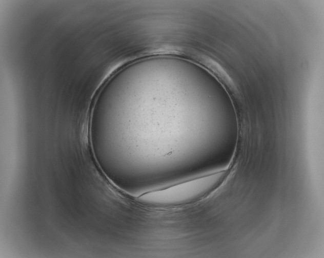 X0000112921228200908241219