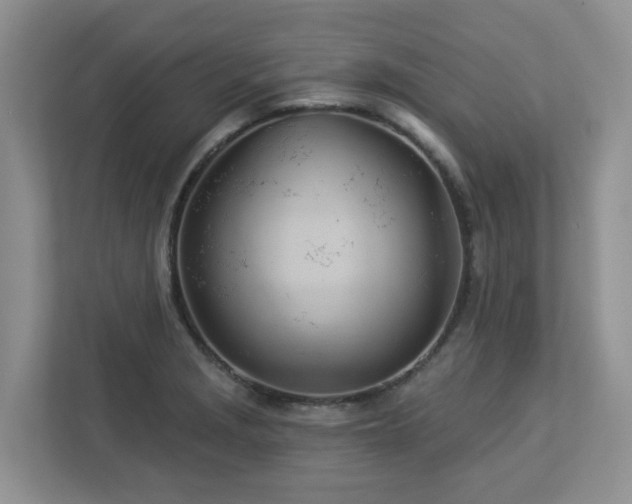 X0000112921229200908241219