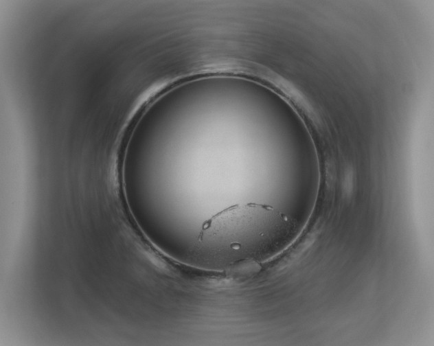 X0000112921230200908241219