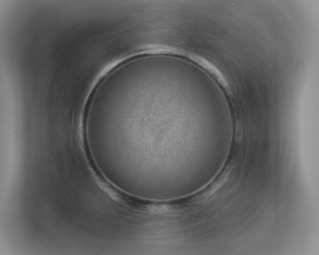 X0000112921231200908241219
