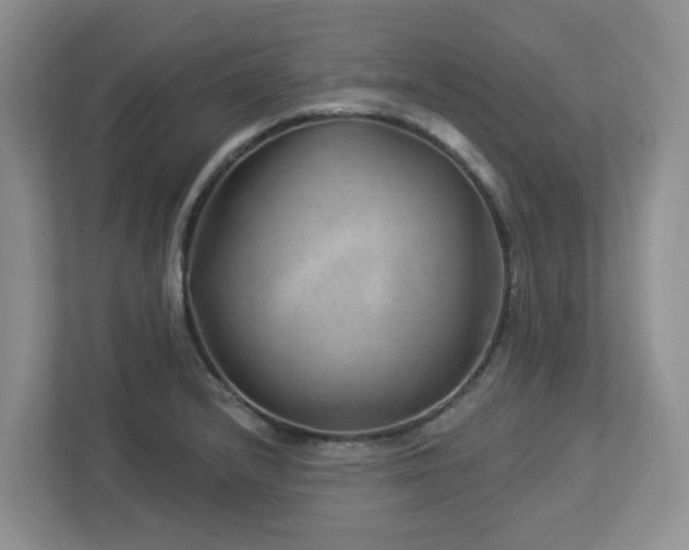 X0000112921232200908241219