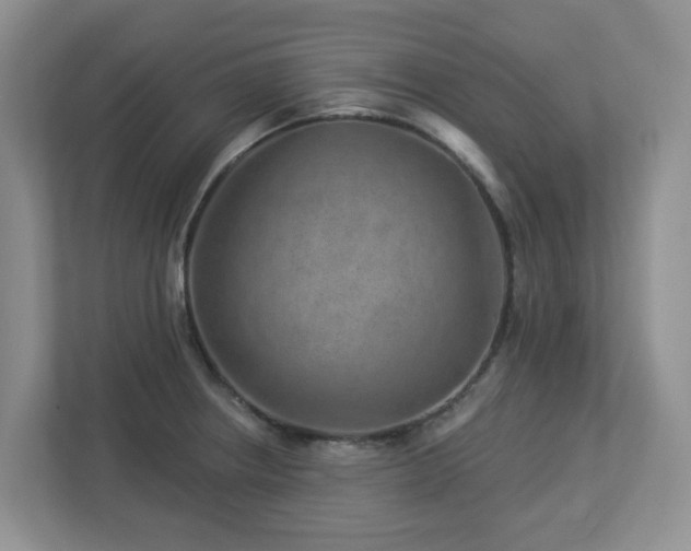 X0000112921234200908241219