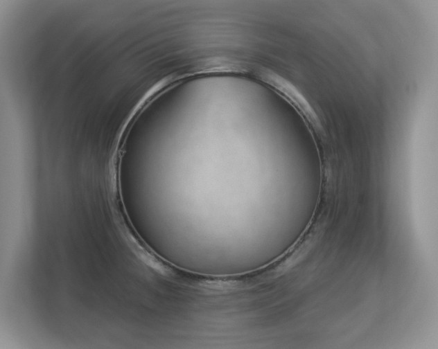 X0000112921236200908241219