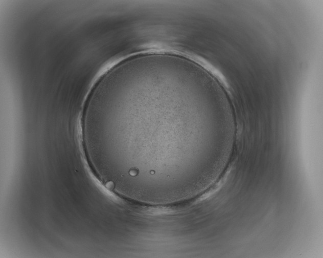 X0000112921239200908241220