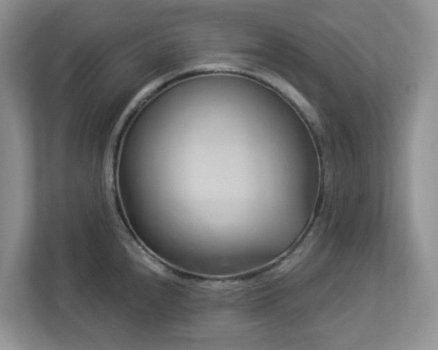 X0000112921240200908241220