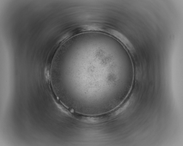 X0000112921241200908241220