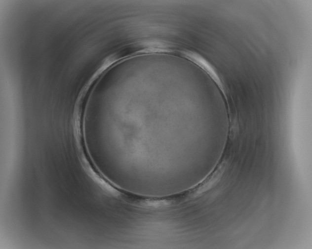 X0000112921243200908241220