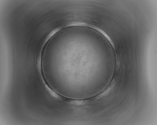 X0000112921245200908241220