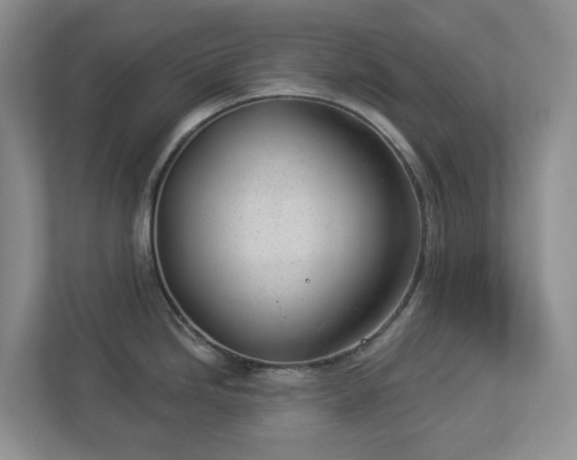 X0000112921246200908241220