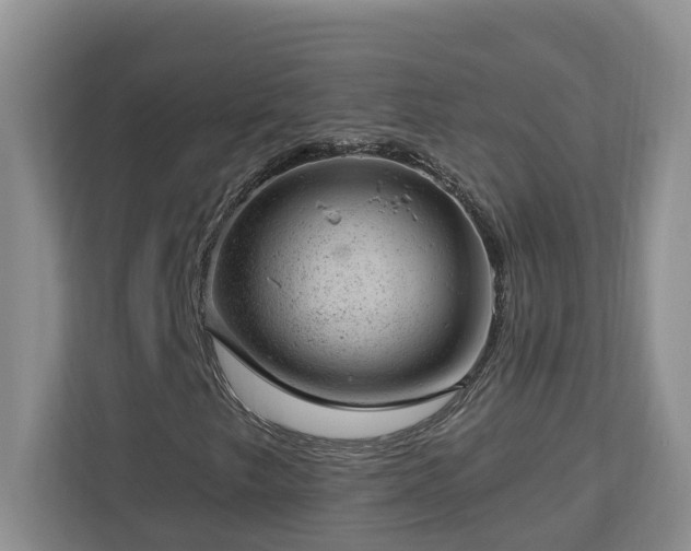 X0000112921249200908241219