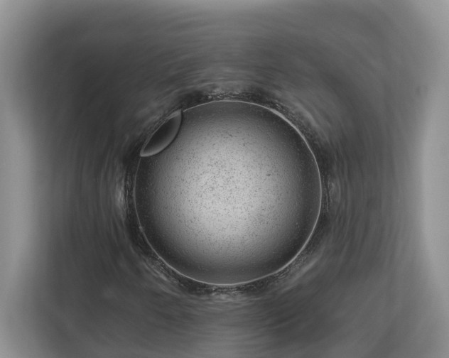 X0000112921250200908241219
