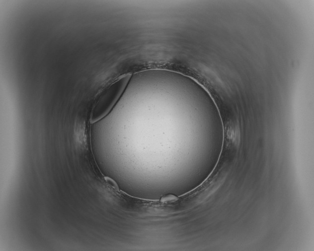 X0000112921252200908241219