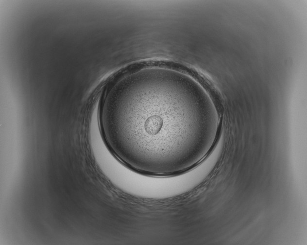 X0000112921255200908241219