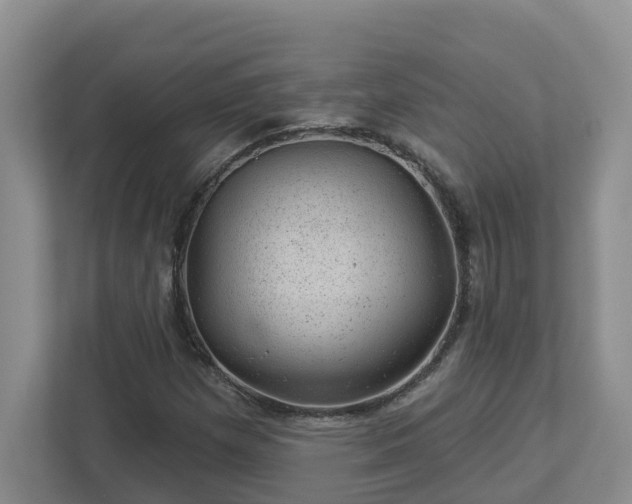 X0000112921257200908241219