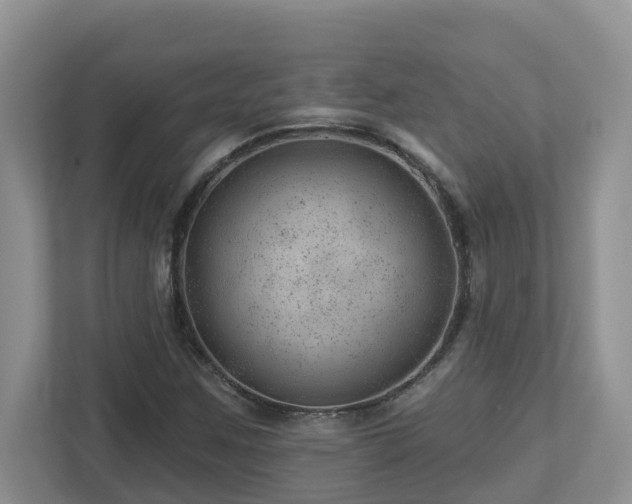 X0000112921259200908241219
