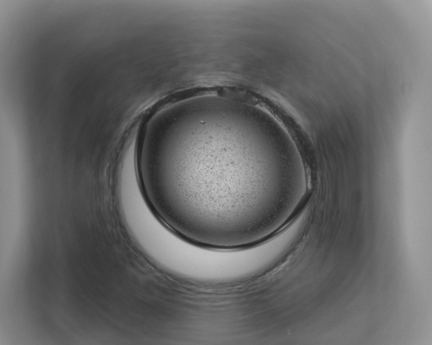 X0000112921261200908241219