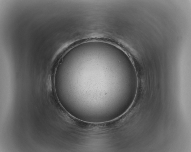 X0000112921262200908241219
