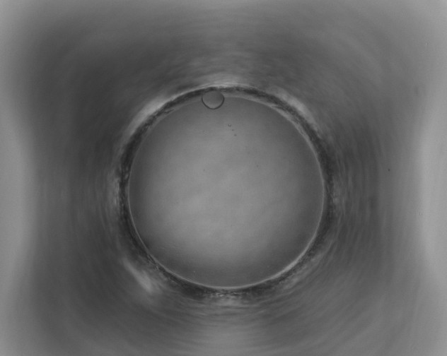 X0000112921263200908241219