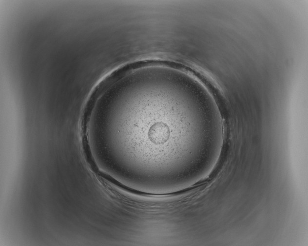 X0000112921264200908241219