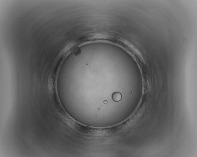 X0000112921266200908241219