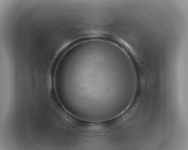 X0000112921267200908241219