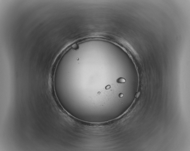 X0000112921268200908241219
