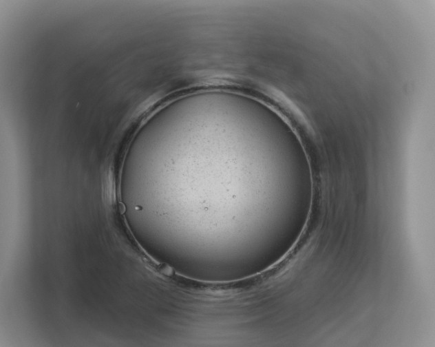 X0000112921269200908241219