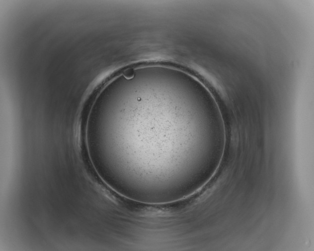 X0000112921270200908241219