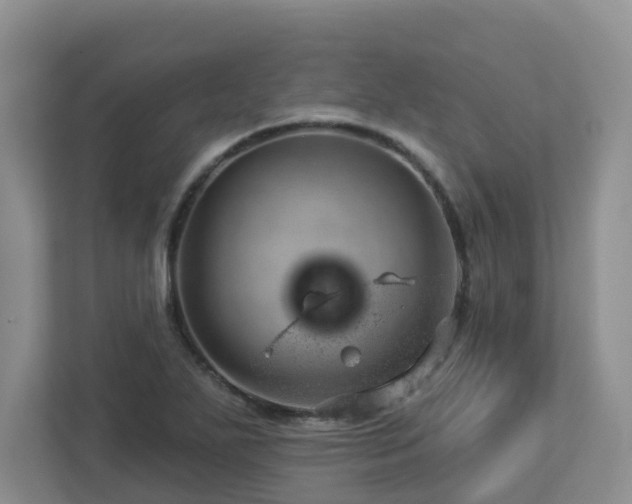 X0000112921271200908241219
