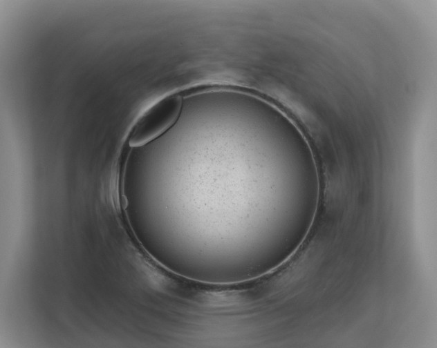 X0000112921272200908241219