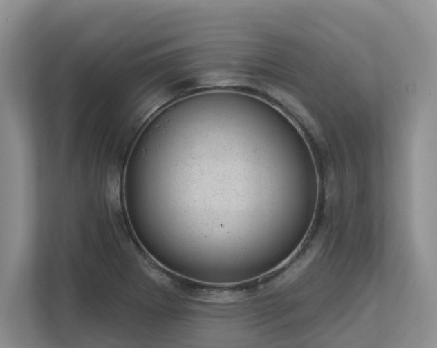 X0000112921273200908241219