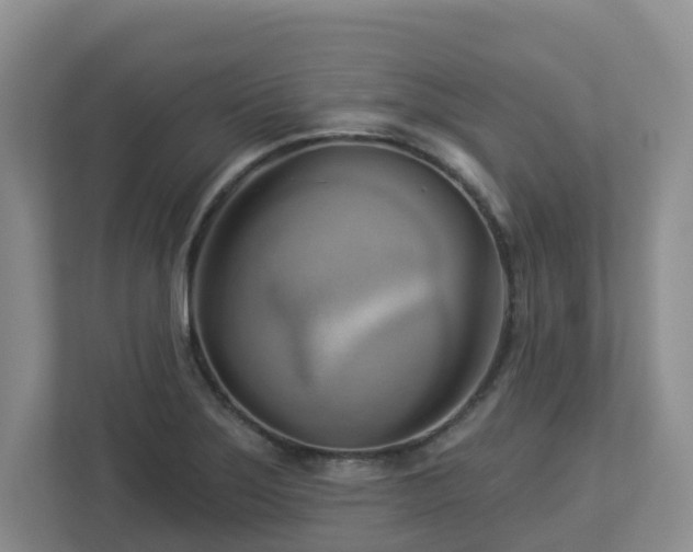 X0000112921275200908241219