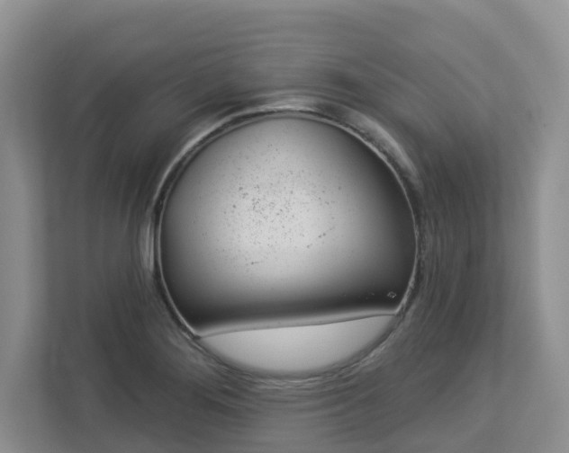 X0000112921276200908241219
