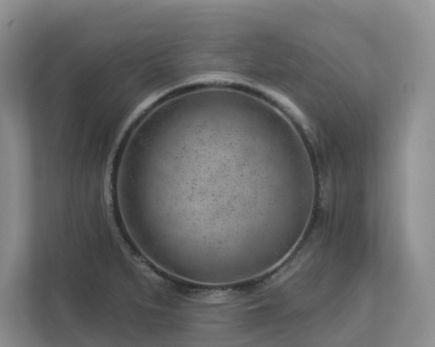 X0000112921279200908241219