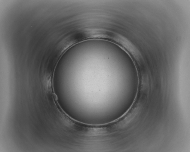 X0000112921281200908241219