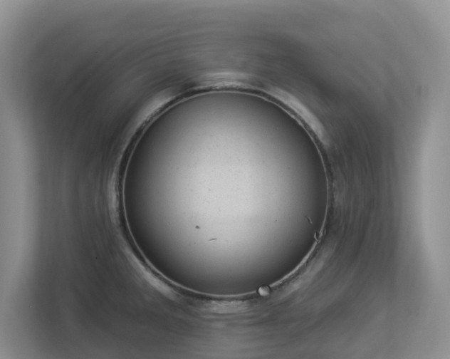 X0000112921285200908241219
